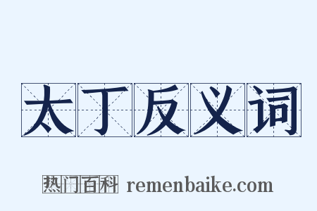 太丁反义词是什么意思的图片